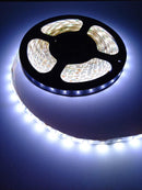 Fita de Led Branco Frio 5 Metros