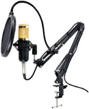 Microfone Condensador Dinâmico Profissional