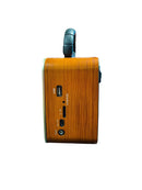 RÁDIO RETRÔ XTRAD XDG3009